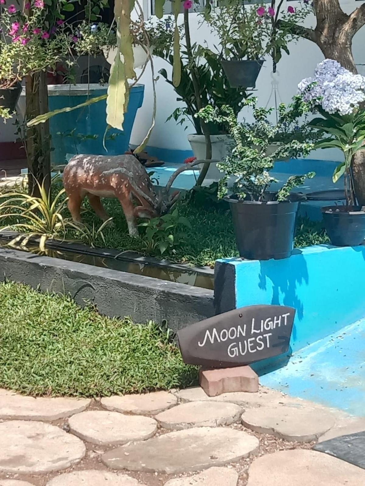 Moon Light Guest Bed & Breakfast Мириса Екстериор снимка