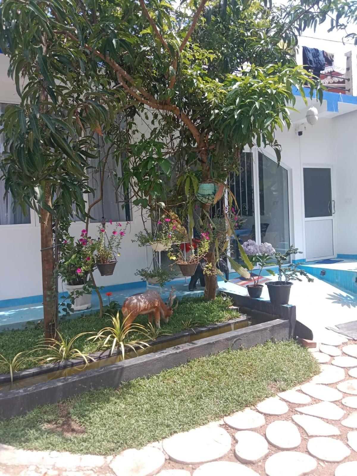 Moon Light Guest Bed & Breakfast Мириса Екстериор снимка