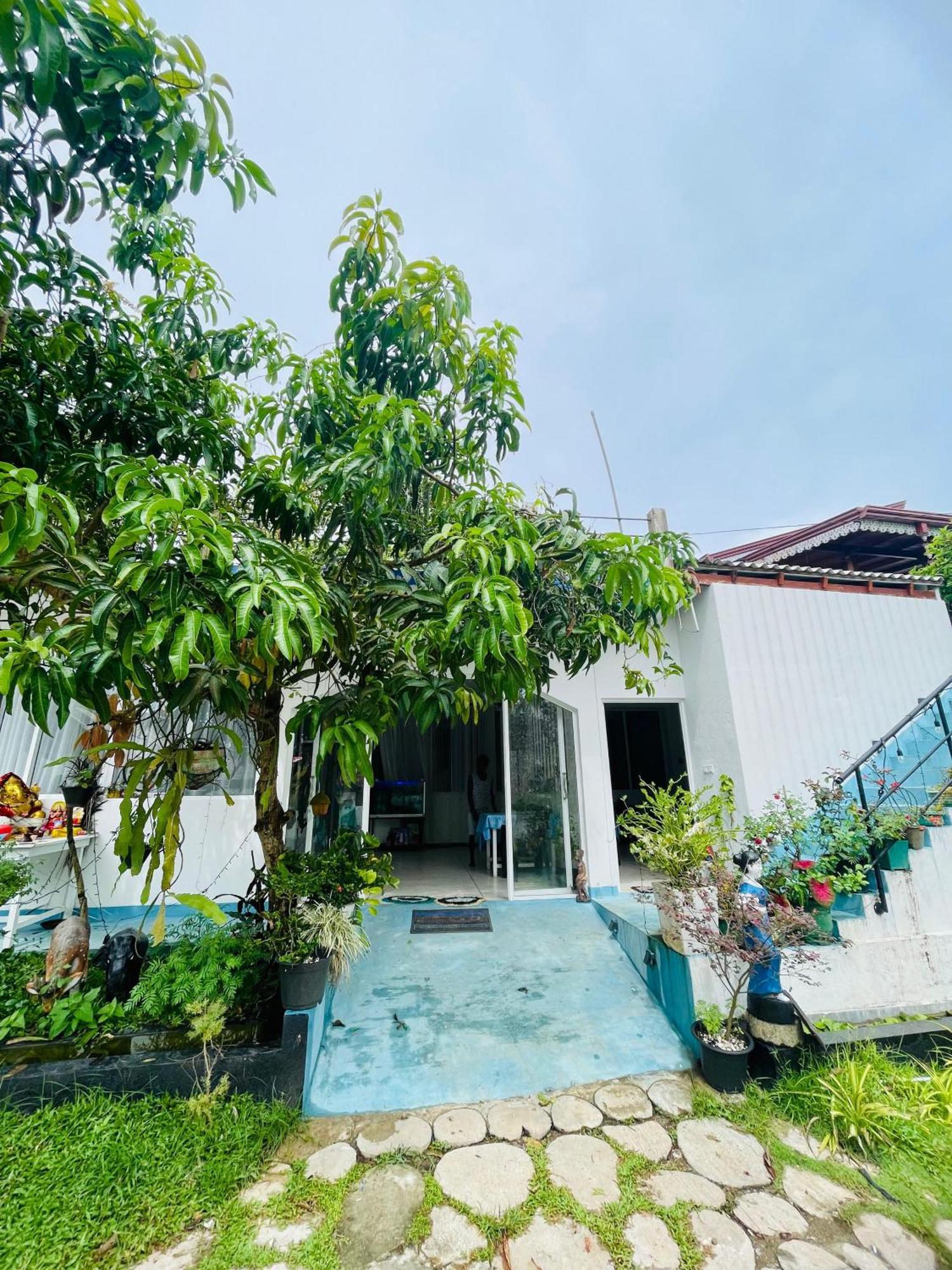 Moon Light Guest Bed & Breakfast Мириса Екстериор снимка
